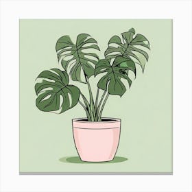 Monstera Plant, A Potted Monstera Plant With Soft Pink Leaves Set Against 1 Canvas Print