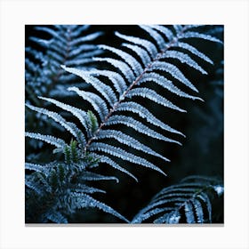 Fern Leaf With Frost Canvas Print