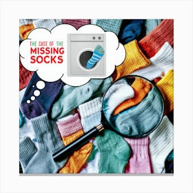 Case Of The Missing Socks Canvas Print