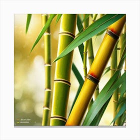 Bamboo Stalks 1 Canvas Print