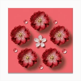 Water Drops On A Pink Background Canvas Print
