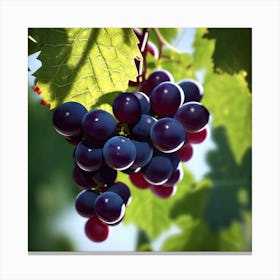 Grapes On The Vine 24 Canvas Print
