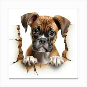 Boxer Dog 4 Canvas Print