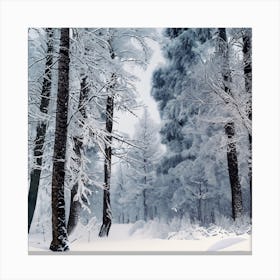 Winter Forest 2 Canvas Print