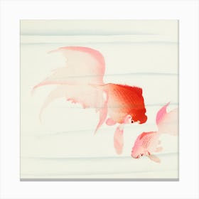 Goldfish 2 Canvas Print