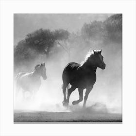 Horses Running In The Dust Canvas Print