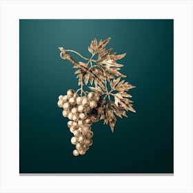 Gold Botanical Grape Vine on Dark Teal n.3786 Canvas Print