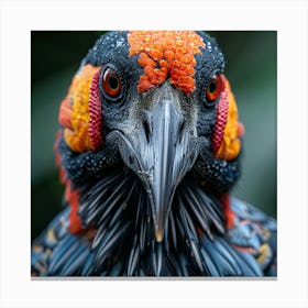 Pheasant Bird 1 Canvas Print