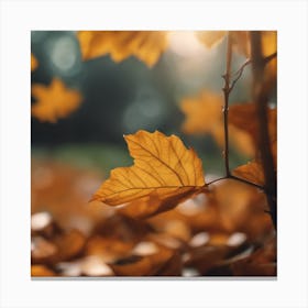 Autumn Leaves 12 Canvas Print