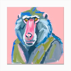 Baboon 04 Canvas Print