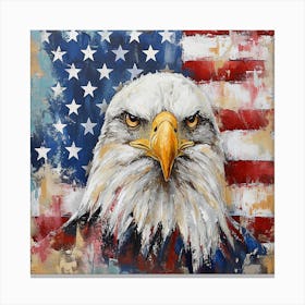 Bald Eagle 1 Canvas Print