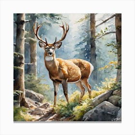 Deer In The Woods 81 Canvas Print
