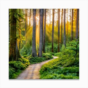 Sunrise In The Forest Canvas Print