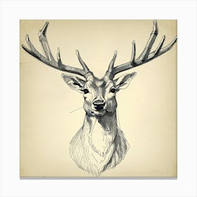 Deer Head 3 Canvas Print