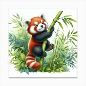 Red Panda 2 Canvas Print