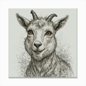 Goat Portrait Canvas Print