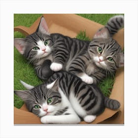 Three Kittens In A Box Canvas Print