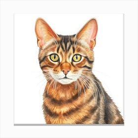 Toyger Cat Portrait 1 Canvas Print