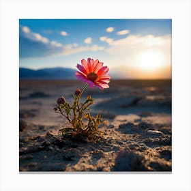 Flower In The Desert, A Blooming Flower In A Desolate Landscape Representing Hope And Resilience Canvas Print