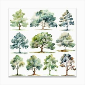 Watercolor Trees Canvas Print