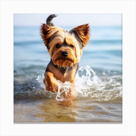 Yorkshire Terrier Dog Canvas Print