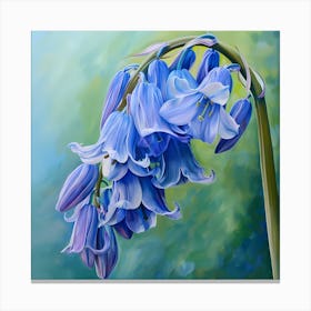 Bluebells Canvas Print