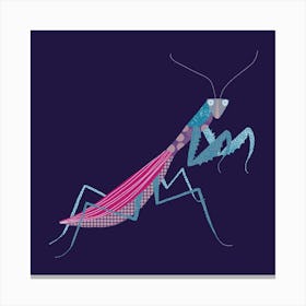 Praying Mantis in the Dark Canvas Print