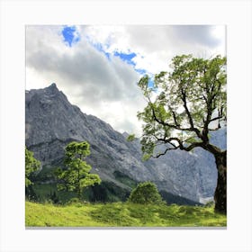Lone Tree In The Alps Canvas Print