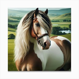 Horse In A Field 3 Canvas Print