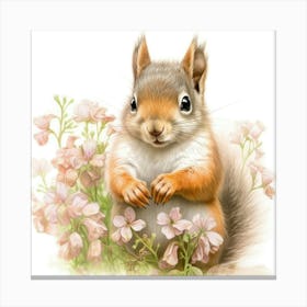 Squirrel In Flowers Lienzo