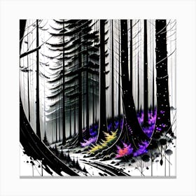 Forest In Black And White Canvas Print