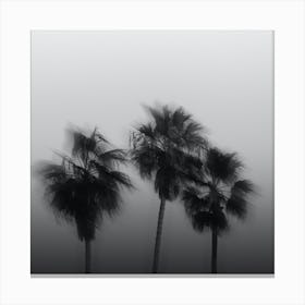California Palm Trees Blurry Square Minimalist Canvas Print