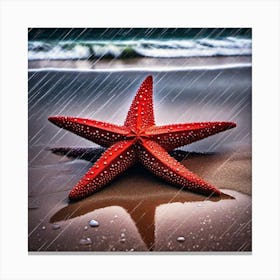 Starfish In The Rain on the beach Canvas Print