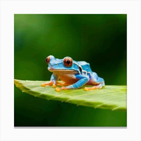 Blue Tree Frog Canvas Print