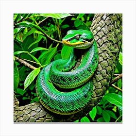 Green Tree Snake 1 Canvas Print