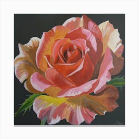 Rose Canvas Print