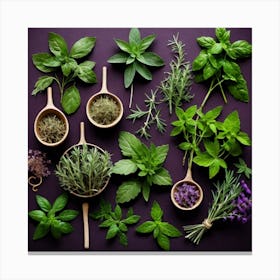 Fresh Herbs On Purple Background 2 Canvas Print