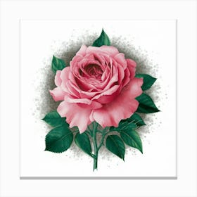 Pink Rose 9 Canvas Print