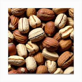 Nuts And Hazelnuts 6 Canvas Print