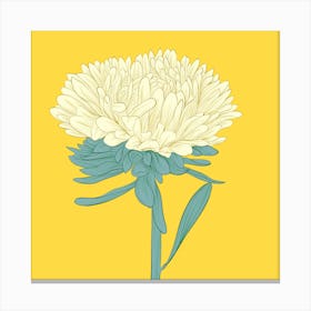 Chrysanthemum yellow Canvas Print