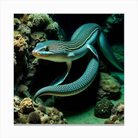 Eagle Ray 4 Canvas Print