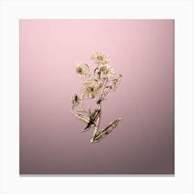 Gold Botanical Madia Flower on Rose Quartz Canvas Print