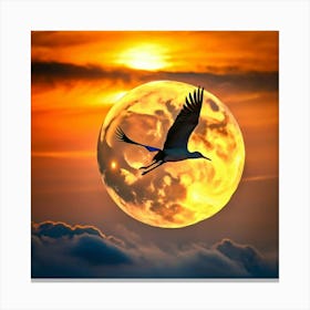 Bird flying sunset Canvas Print