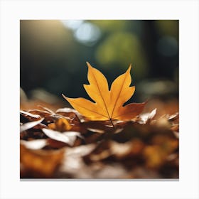 Autumn Leaf 11 Canvas Print