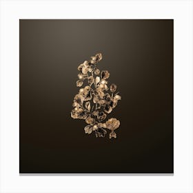 Gold Botanical Spathula Leaved Thorn Flower on Chocolate Brown n.2640 Canvas Print