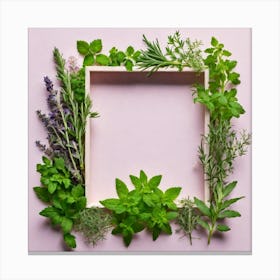 Herbs As A Frame (58) Canvas Print