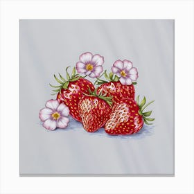 Strawberries And Flowers Canvas Print