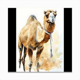 Camel Painting Canvas Print