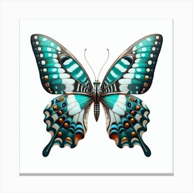 Butterfly of Graphium agamemnon 1 Canvas Print