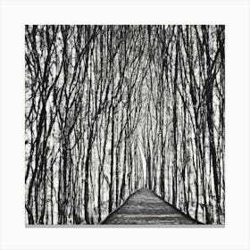 Path Through The Woods Canvas Print